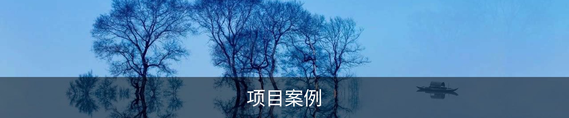 项目案例